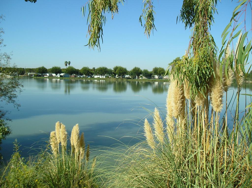 Lake Minden Camping Resort Cottage 2 Nicolaus Dış mekan fotoğraf